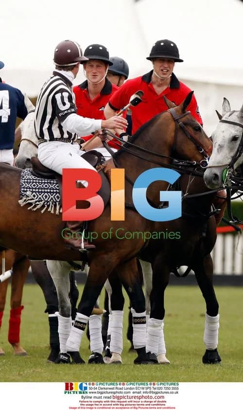 Prince William and Harry play polo in London