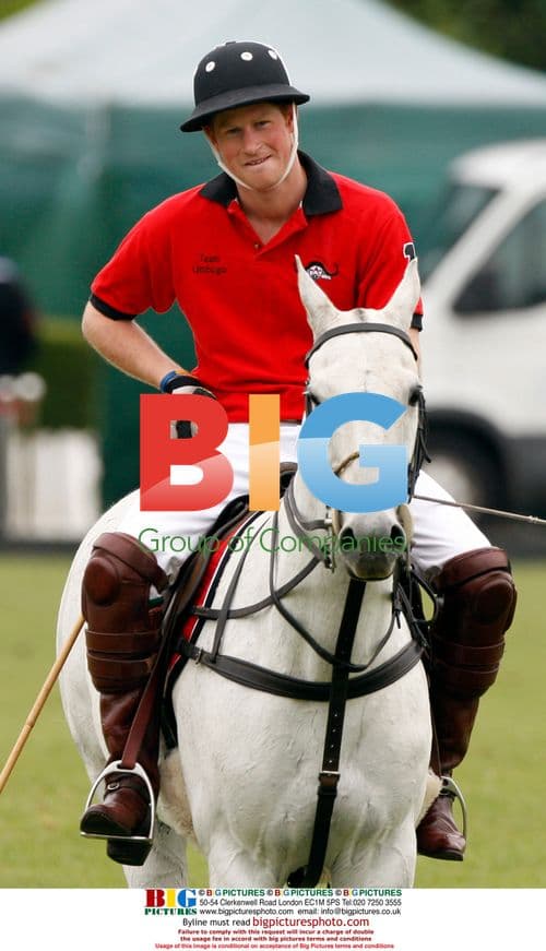 Prince William and Harry play polo