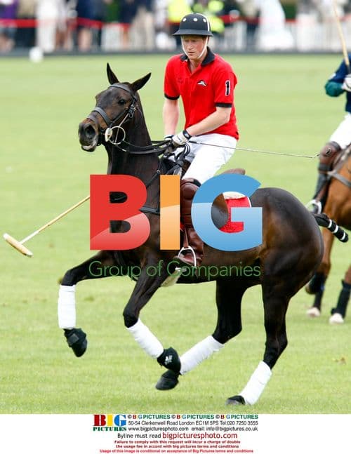 Prince William and Harry play polo in London