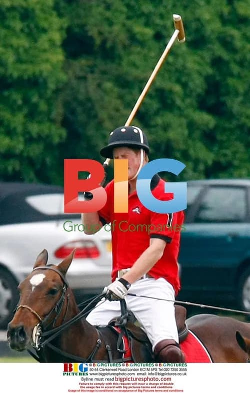 Princes William and Harry play polo