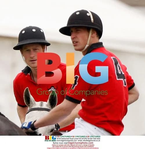 Prince William and Harry play polo
