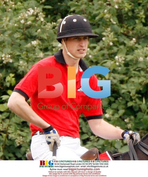 Prince William and Harry play polo