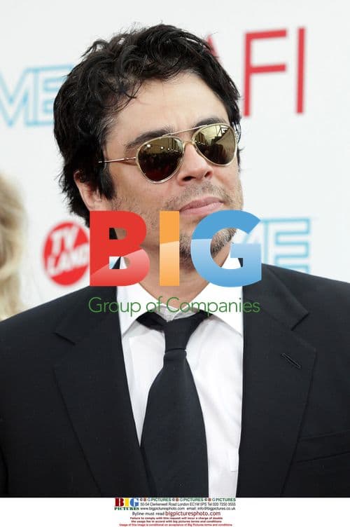 Benicio Del Torro at AFI Life Achievement Award