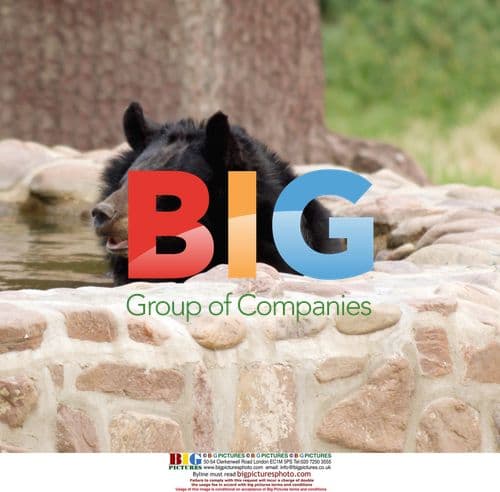 Zoo animals keep cool in China