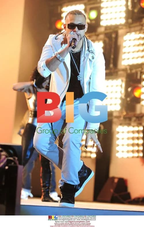Sean Paul performs at French Music Day concert