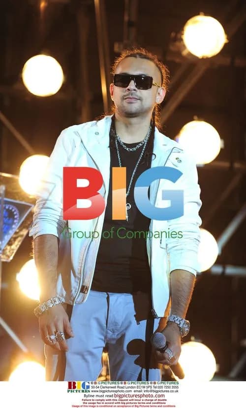 Sean Paul performs at French Music Day concert