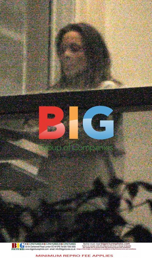 Ryan O'Neal, Mela Murphy and friends wait outside Farrah Fawcett's hospital room