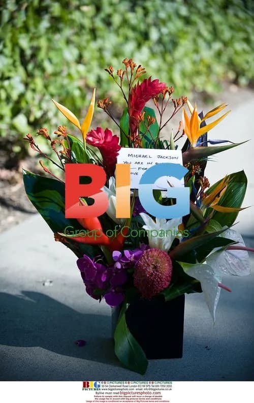 Michael Jackson Fans Mourn Outside Encino Home