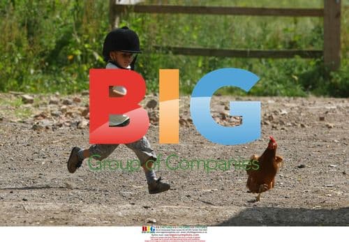 Katie Price takes kids horse riding