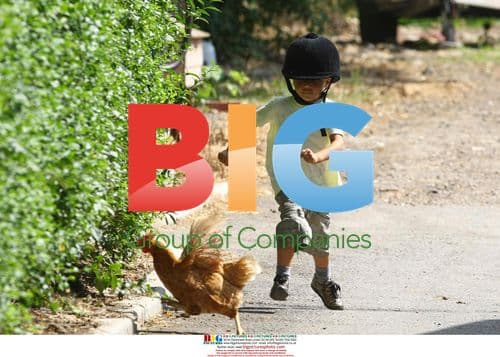 Katie Price and kids go horse riding