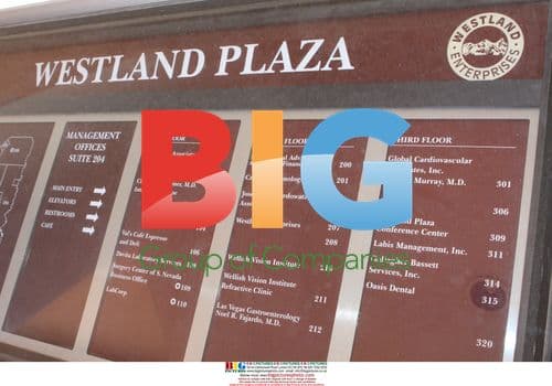 Dr. Conrad Murray's Practice