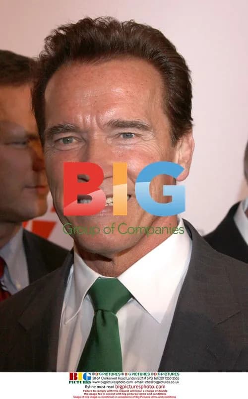 Arnold Schwarzenegger at AmCham Transatlantic Partnership Award Gala