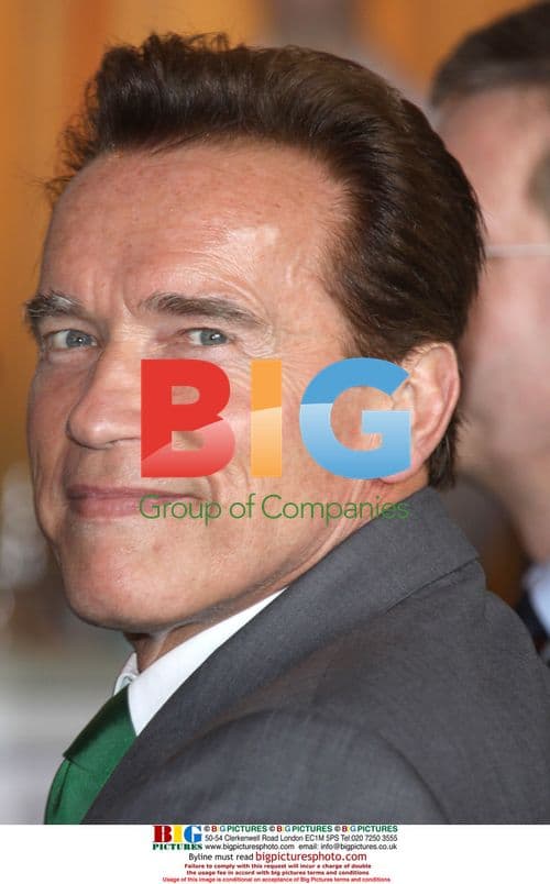 Arnold Schwarzenegger at AmCham Transatlantic Partnership Award Gala