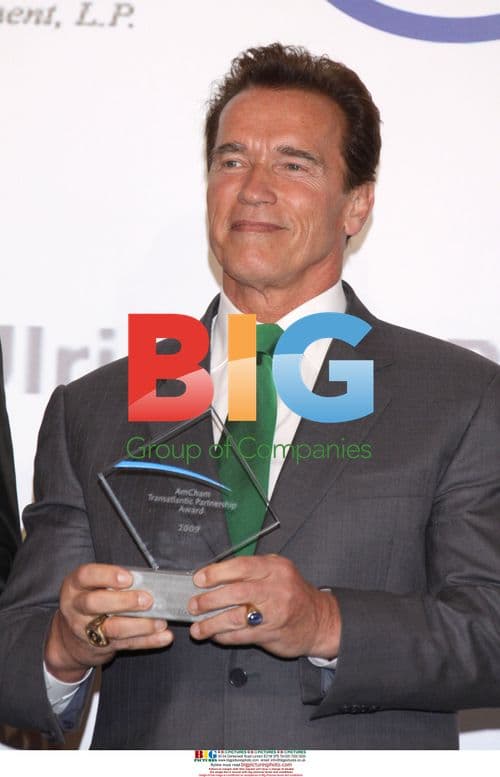 Arnold Schwarzenegger at AmCham Transatlantic Partnership Award Gala