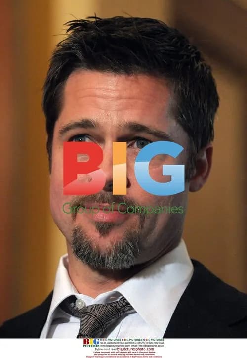 Brad Pitt on Capitol Hill