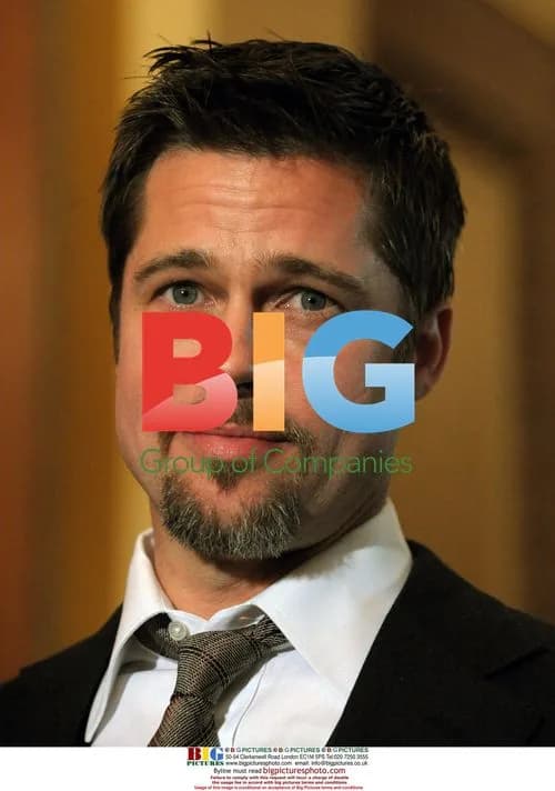Brad Pitt on Capitol Hill