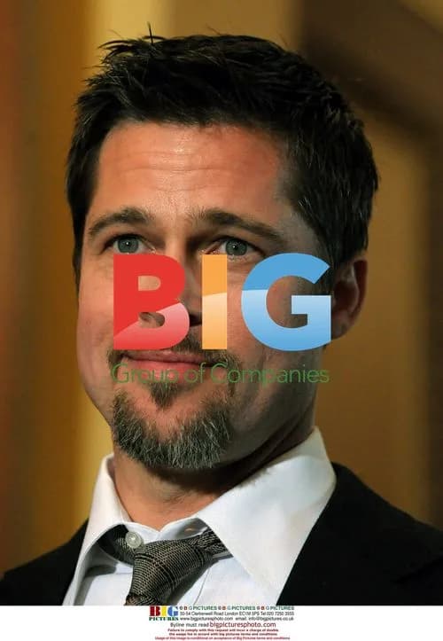 Brad Pitt Meets with Congress