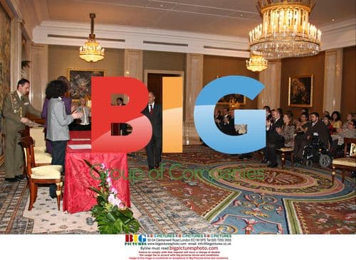 Queen Sofia attends Handicap Accessibility Awards in Madrid