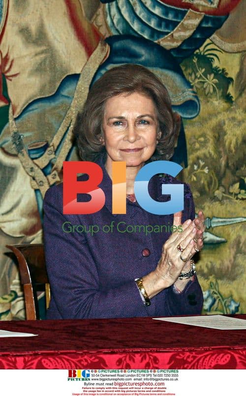 Queen Sofia attends Handicap Accessibility Awards