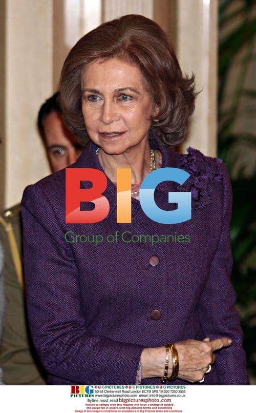 Queen Sofia of Spain at Accessibility Awards