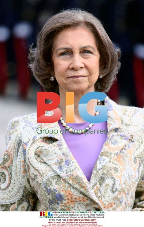 Spanish Kings meet Russian President