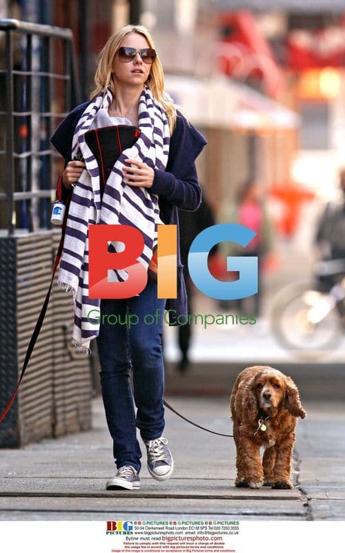 Naomi Watts out with newborn son