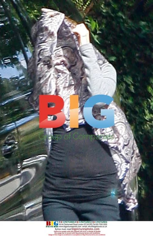 Pregnant Nicole Richie runs in LA
