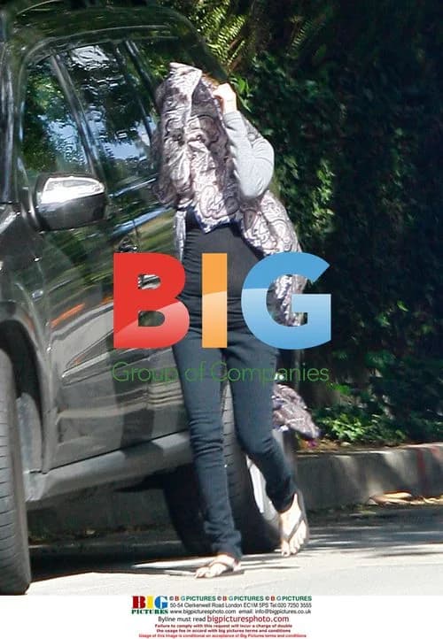 Nicole Richie shows baby bump in LA