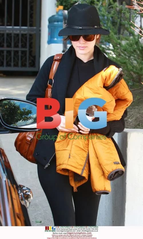 Rachel Bilson Leaving Home for LAX