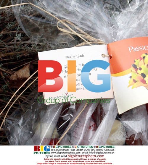 Jade Goody's Doorstep Memorial