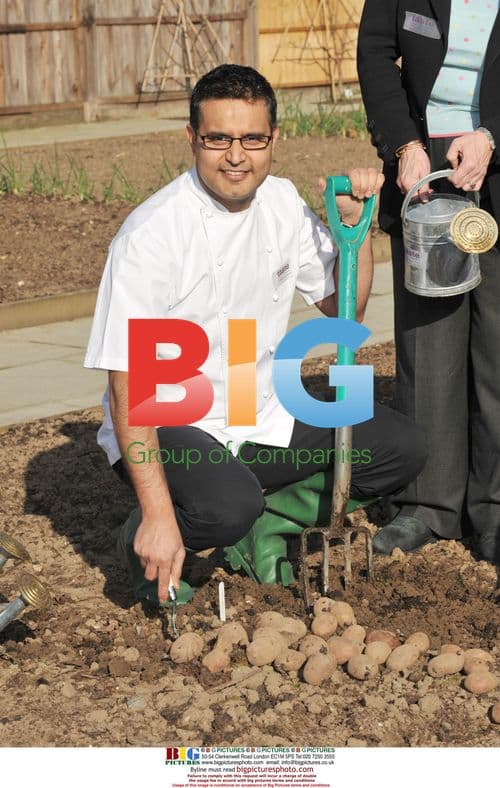 Chefs Kochhar, Roux Jr, and Aikens Plant Seeds