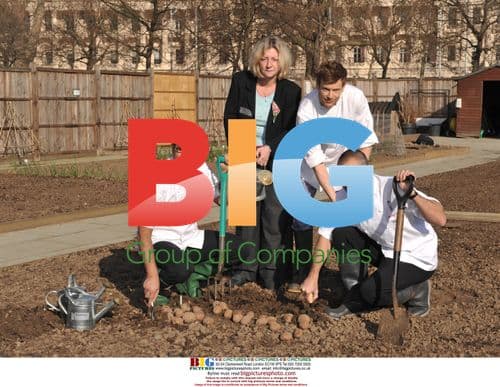 Taste of London chefs planting seeds