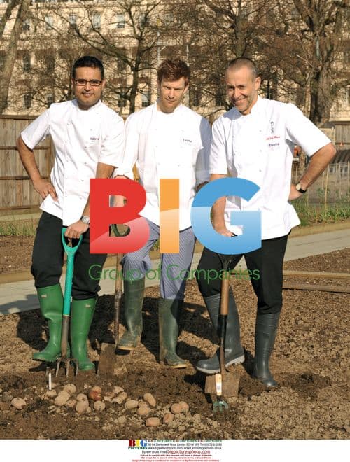 Taste of London chefs plant seeds