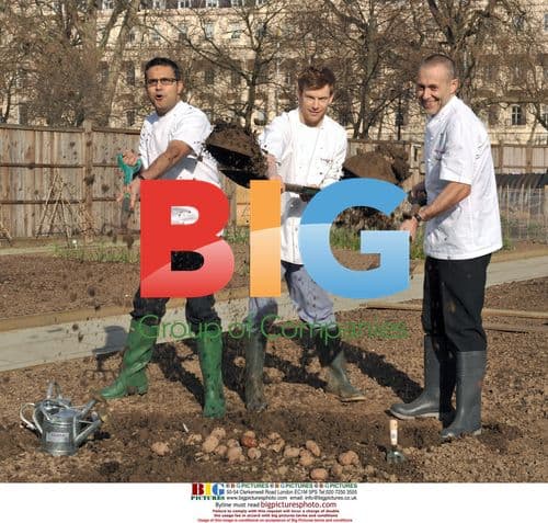 Top Taste of London chefs plant seeds