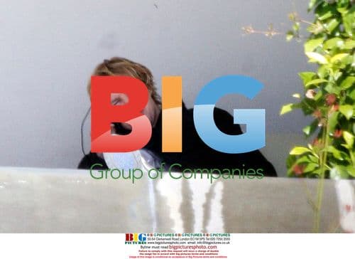 Owen Wilson Spotted with Dog in Santa Monica