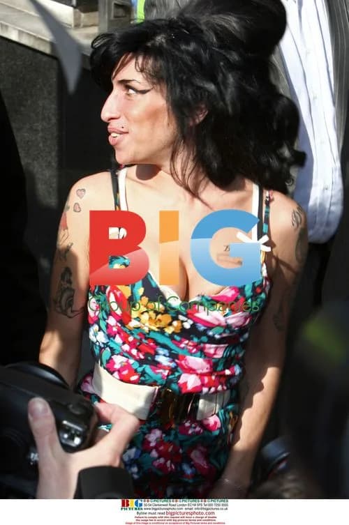 Amy Winehouse Arrives at Court