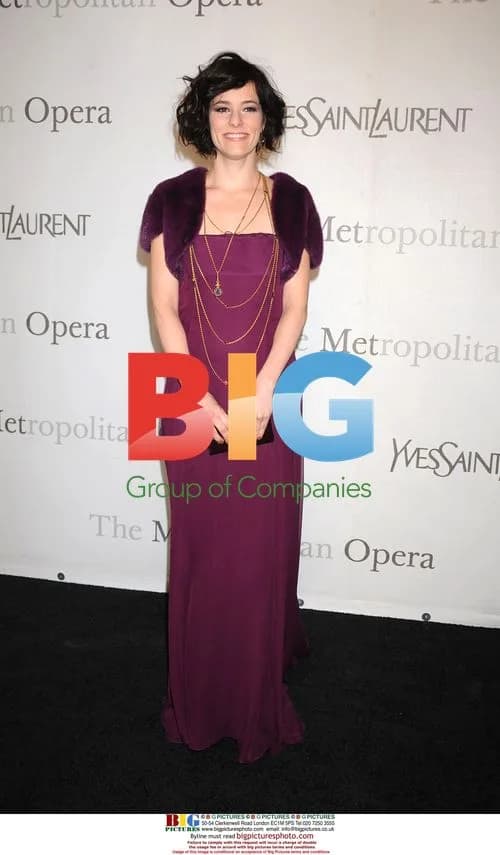 Parker Posey at Metropolitan Opera Gala
