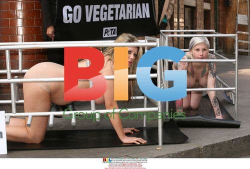Pregnant, naked mums protest for animal rights