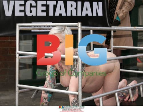 Pregnant and Naked Mums Protest for PETA