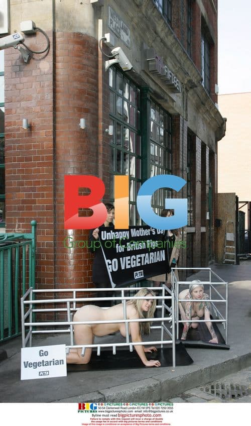 Pregnant, naked mums protest animal rights outside Jamie Oliver's restaurant