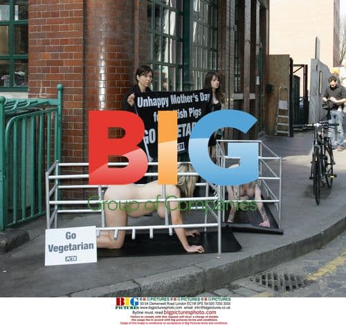 Pregnant mums protest animal rights outside Jamie Oliver's