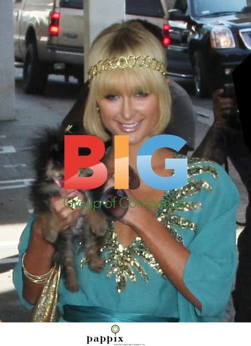 Kathy Griffin & Paris Hilton Filming Reality Show