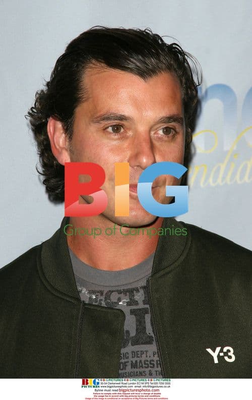 Gavin Rossdale at One Splendid Evening Concert