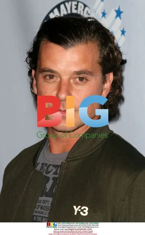 Gavin Rossdale at One Splendid Evening Concert