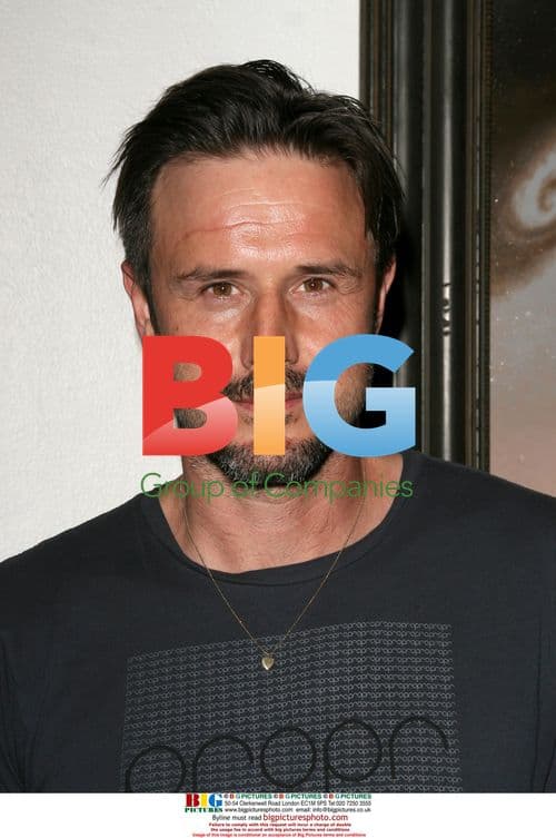 David Arquette at Todd Shorr Art Exhibit