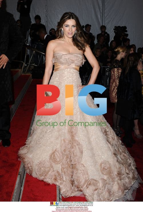 Elizabeth Hurley at The Met Gala