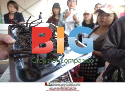 Scorpion and centipede as gourmet food in China