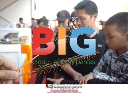 Scorpion and Centipede Gourmet Food in Ningbo, China