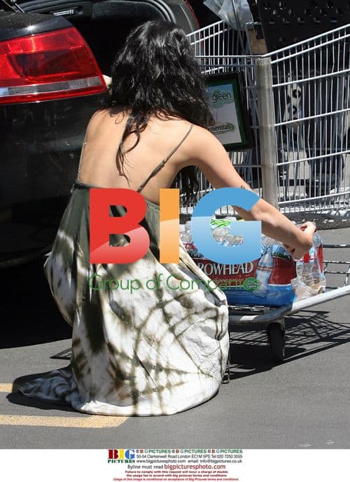 Vanessa Hudgens runs errands at Ralphs