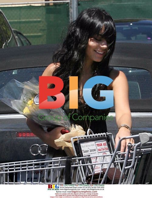 Vanessa Hudgens Grocery Shopping